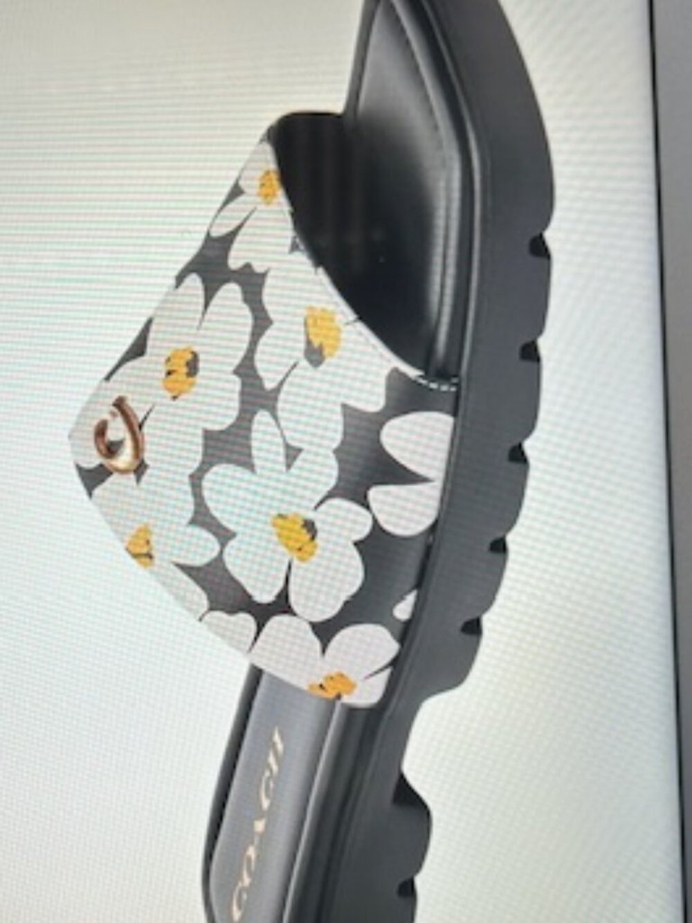 Coach Chalk Multi Florence Floral-Printed Leather Sandals - Picture 12 of 13
